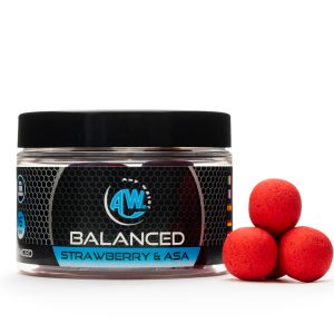 ANY WATER Balanced Boilies Strawberry & Asafoetida 16mm
